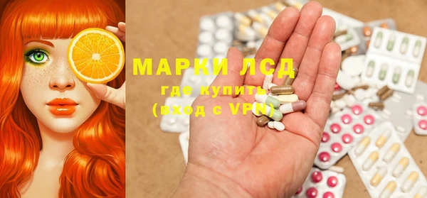 стаф Балахна