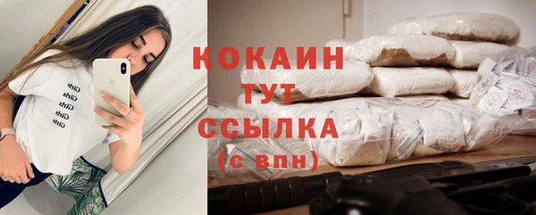 стаф Балахна