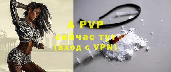 стаф Балахна