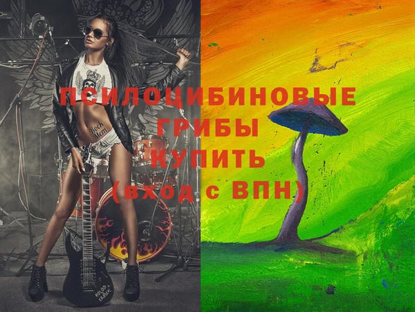 стаф Балахна
