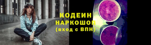 стаф Балахна