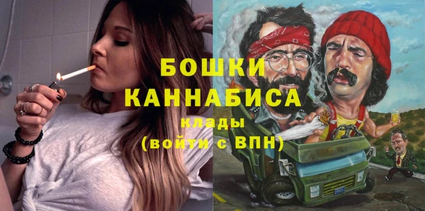 стаф Балахна