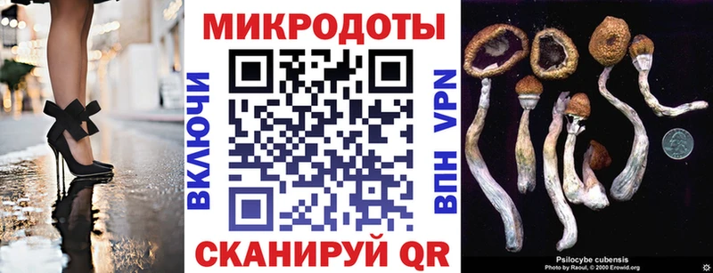 Псилоцибиновые грибы мухоморы  Моршанск 